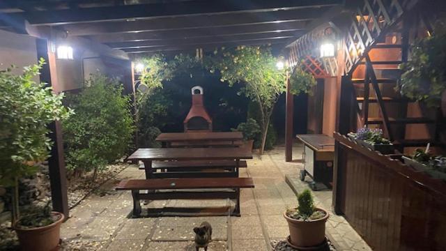 Holiday Home V Kolte Kolta المظهر الخارجي الصورة