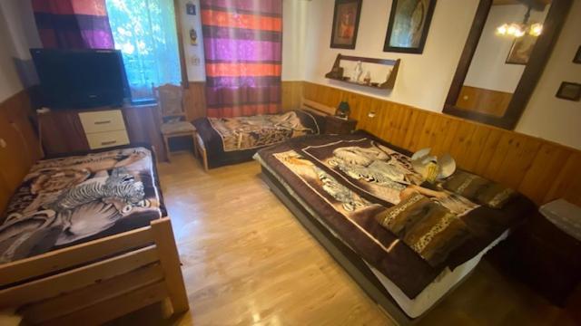 Holiday Home V Kolte Kolta المظهر الخارجي الصورة